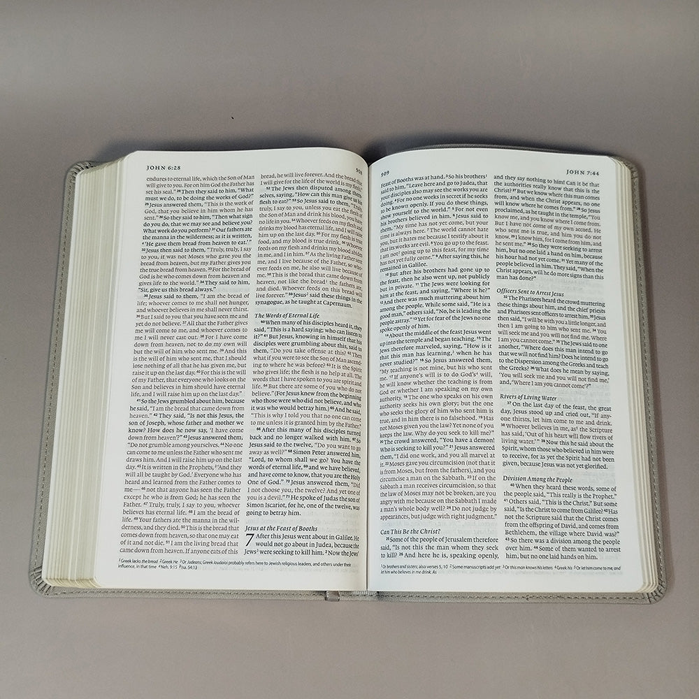 ESV Thinline Bible, Red Letter (TruTone, Stone, Branch Design)