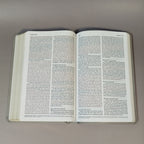 ESV Thinline Bible, Red Letter (TruTone, Stone, Branch Design)