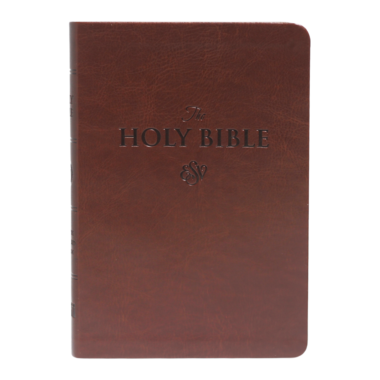 ESV LARGE PRINT (PU)