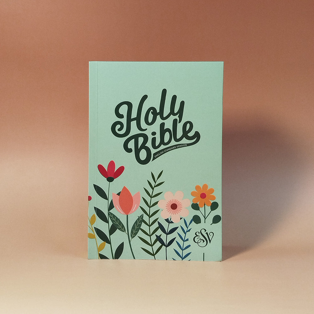 English Standard Version (ESV) Economy Bible Paperbound Cover