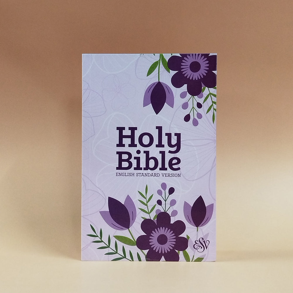 English Standard Version (ESV) Economy Bible Paperbound Cover