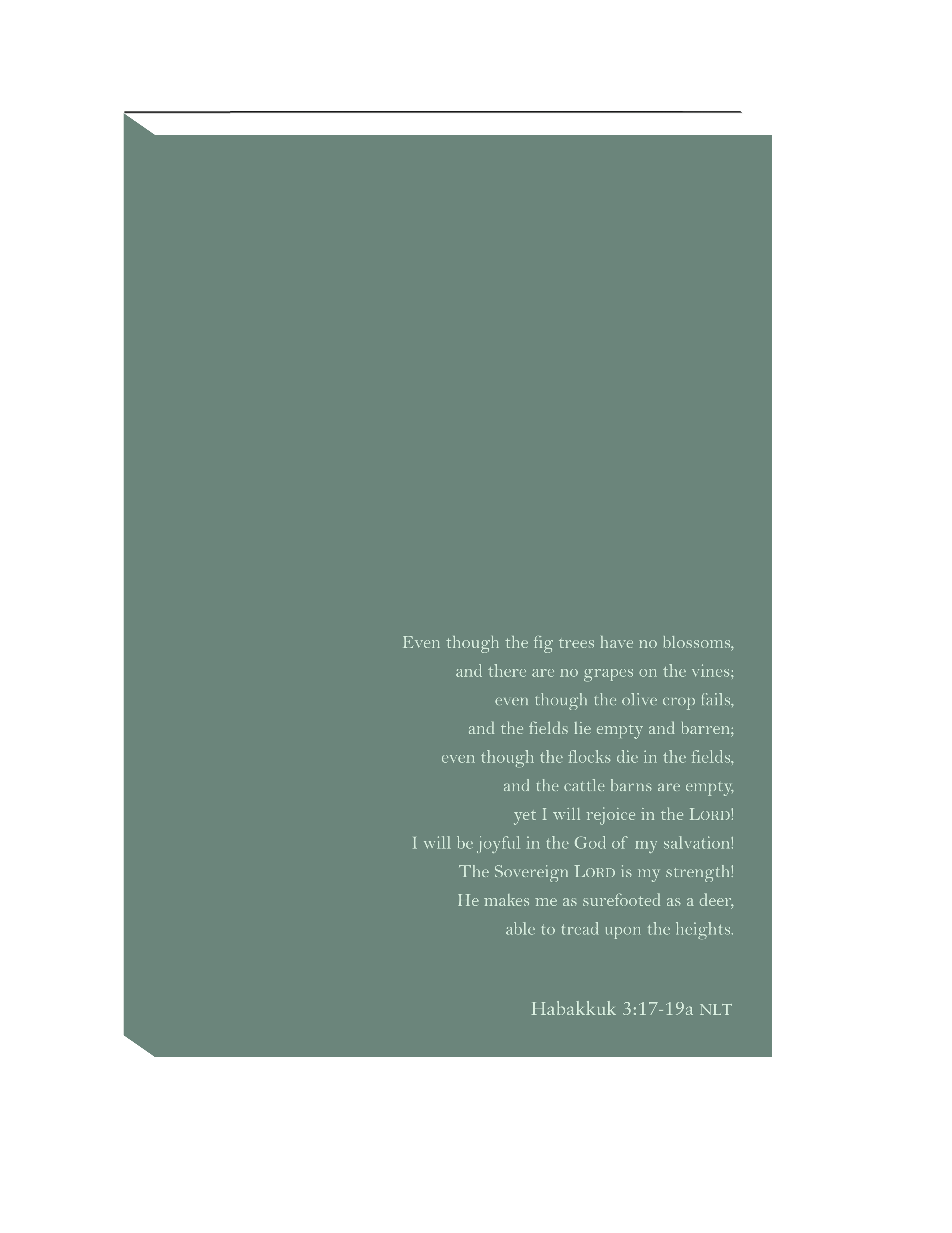 THE WRITE PRESS - The Verse Journals
