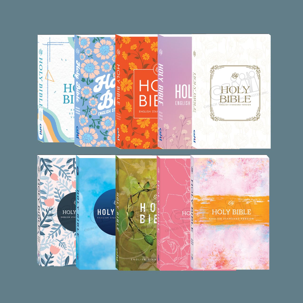 English Standard Version (ESV) Bible- Old and New Testament