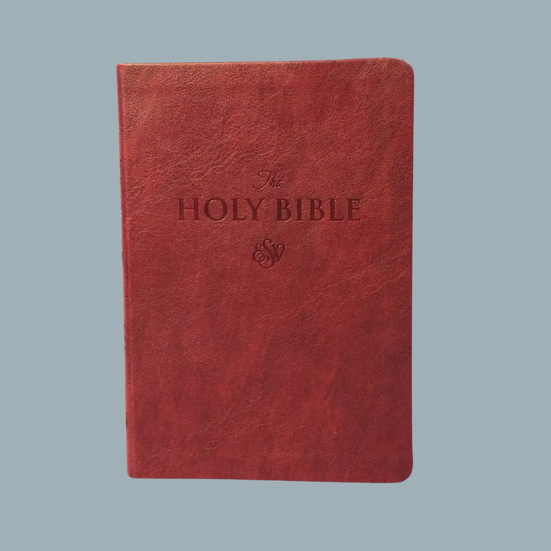 ESV LARGE PRINT (PU)