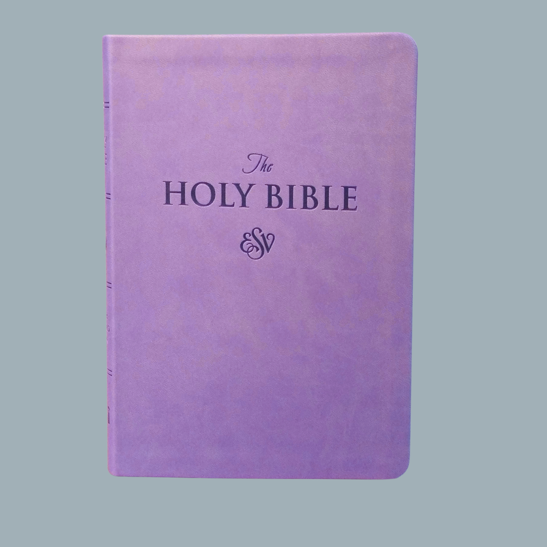 ESV LARGE PRINT (PU)