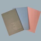 THE WRITE PRESS - The Verse Journals