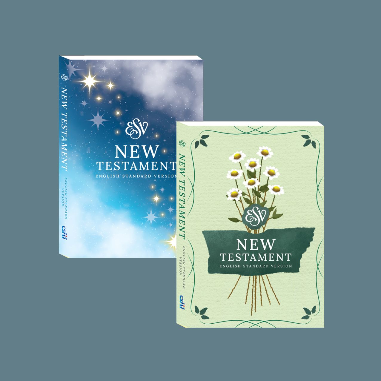 ESV [English Standard Version] Bible - New Testament only