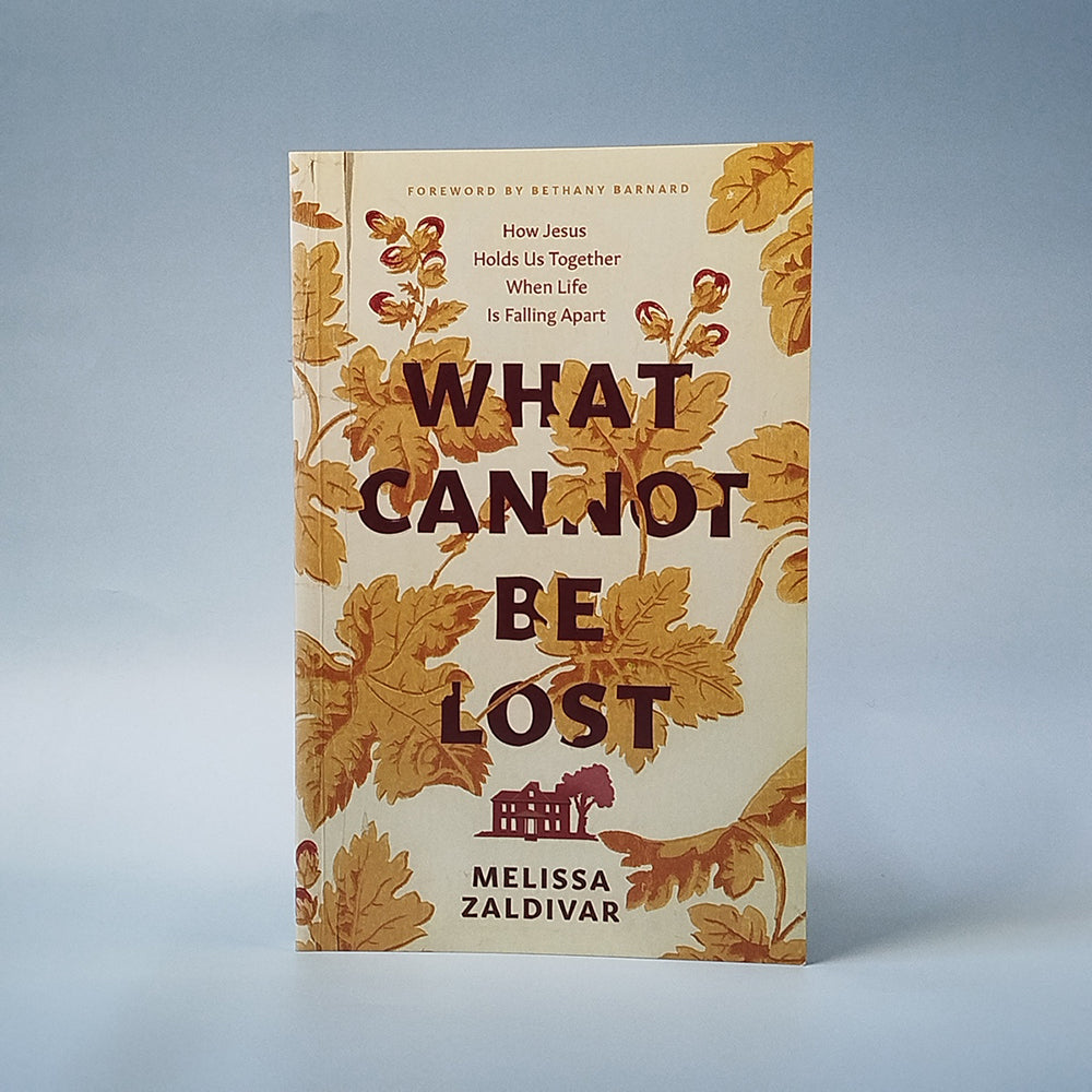 What Cannot Be Lost : How Jesus Holds Us Together When Life Is Falling Apart