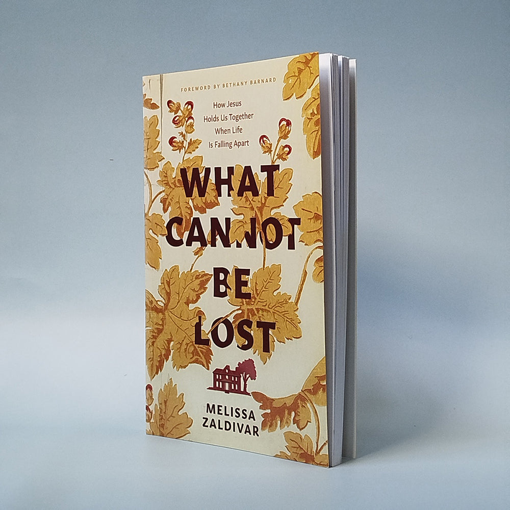 What Cannot Be Lost : How Jesus Holds Us Together When Life Is Falling Apart