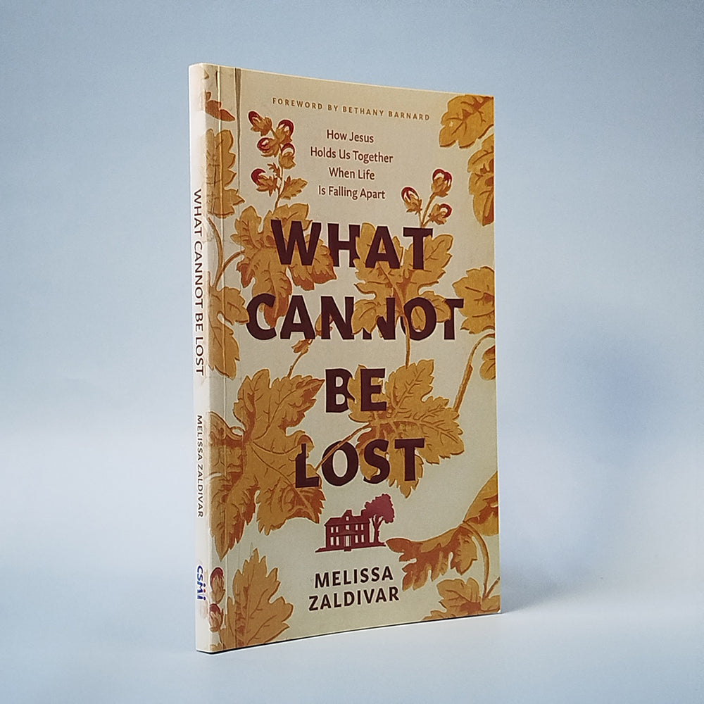 What Cannot Be Lost : How Jesus Holds Us Together When Life Is Falling Apart