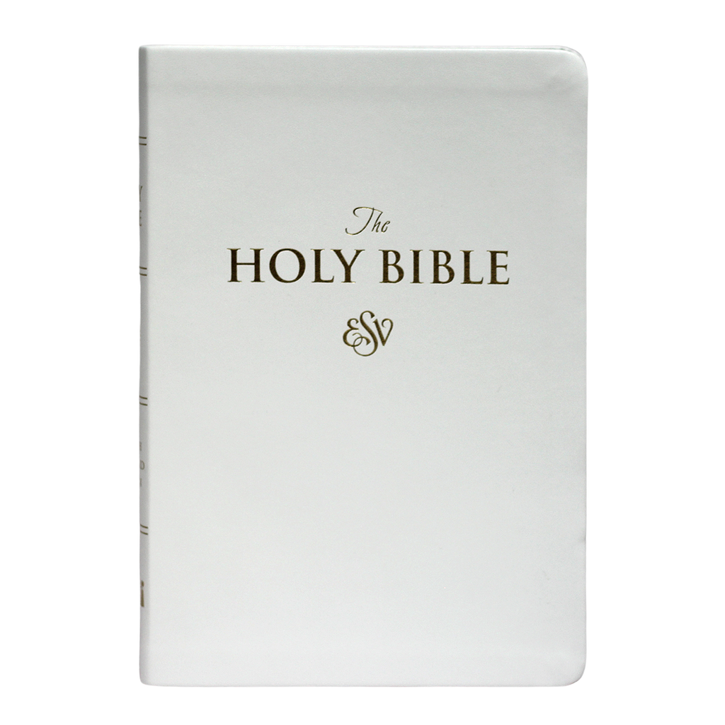 ESV LARGE PRINT (PU)