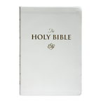 ESV LARGE PRINT (PU)