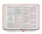 Crossway ESV Large Print Compact Bible, Red Letter
